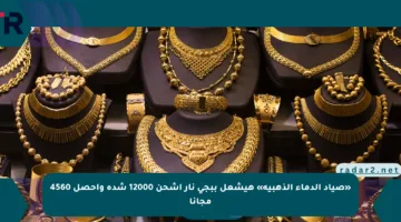 «صياد الدماء الذهبية» هيشعل ببجي نار اشحن 12000 شدة واحصل 4560 مجانا